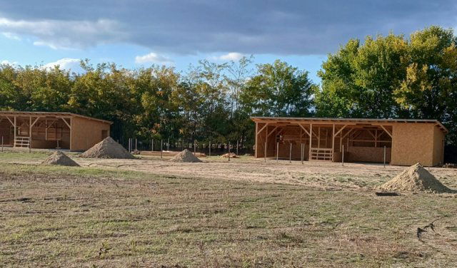 Eladó telek, Dabason 99 M Ft / költözzbe.hu