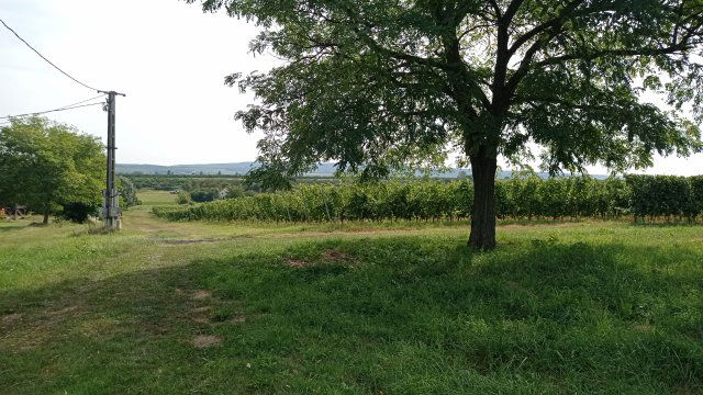 Eladó mezogazdasagi ingatlan, Balatonlelleén 89 M Ft