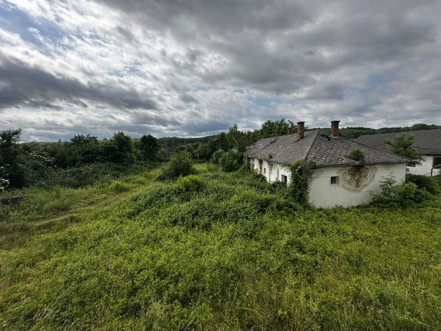 Eladó családi ház, Zalalövőn 65 M Ft, 10 szobás