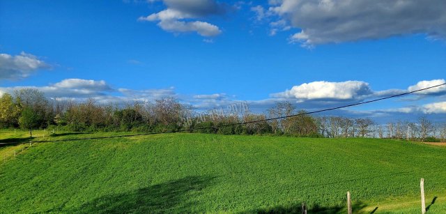Eladó mezogazdasagi ingatlan, Balatonendréden 34.9 M Ft, 2 szobás