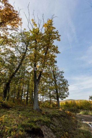 Eladó telek, Felsőtárkányban 250 M Ft / költözzbe.hu