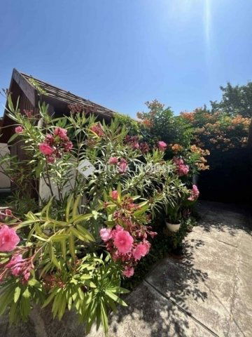 Eladó családi ház, Pécsett 81.5 M Ft, 5 szobás