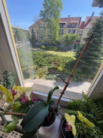 Eladó üzlethelyiség, Gyulán 39.9 M Ft / költözzbe.hu