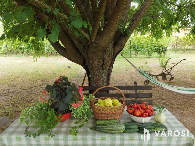 Eladó családi ház, Debrecenben 49.9 M Ft, 3 szobás