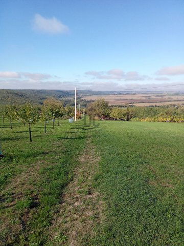 Eladó telek, Tabon 16.9 M Ft / költözzbe.hu