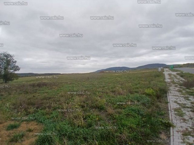 Eladó telek, Pilisborosjenőn 125 M Ft / költözzbe.hu