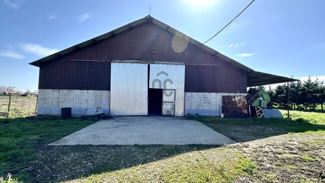 Eladó mezogazdasagi ingatlan, Berekböszörményen 59.9 M Ft