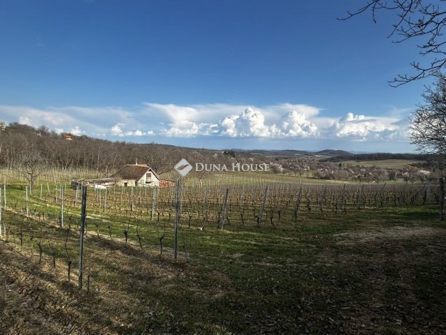 Eladó telek, Pécselyen 79 M Ft / költözzbe.hu