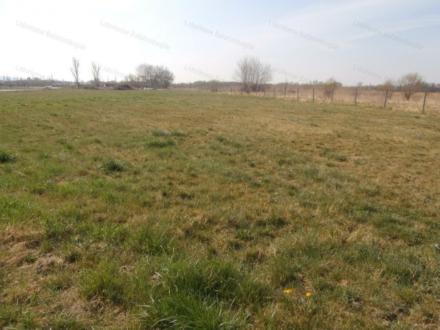 Eladó mezogazdasagi ingatlan, Balatonbogláron 21.5 M Ft