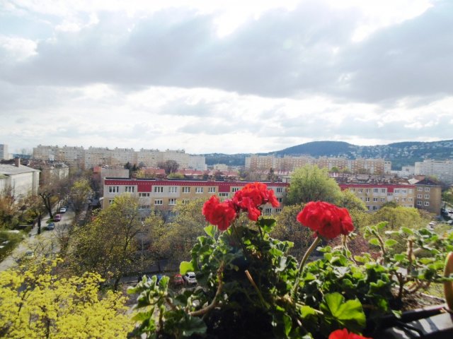 Eladó panellakás, Budapesten, III. kerületben, Raktár utcában