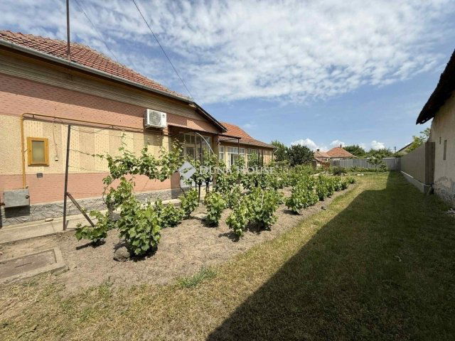 Eladó családi ház, Tiszaalpáron 29 M Ft, 4 szobás