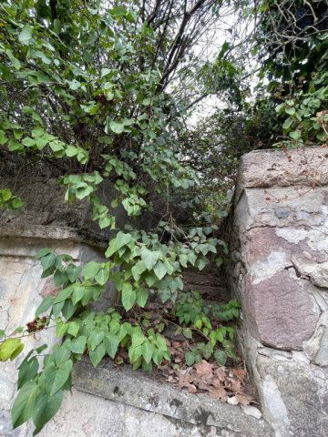 Eladó családi ház, Apcon 12.49 M Ft, 2+1 szobás