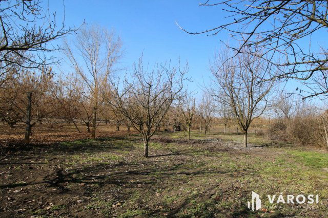 Eladó mezogazdasagi ingatlan, Dobozon 10.8 M Ft, 2 szobás