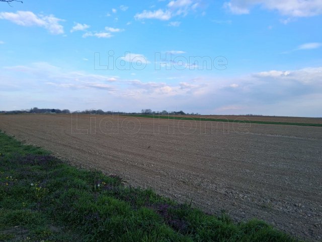 Eladó telek, Zalaváron 10.5 M Ft / költözzbe.hu