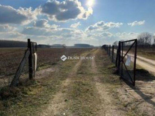 Eladó mezogazdasagi ingatlan, Albertirsán 53 M Ft