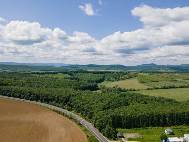 Eladó telek, Nógrádon 24.9 M Ft / költözzbe.hu