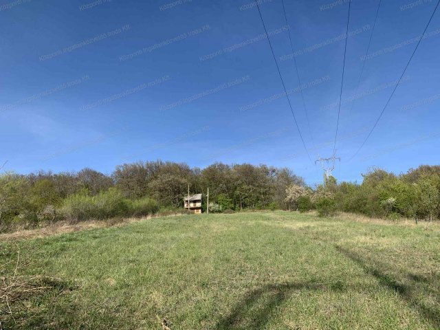 Eladó mezogazdasagi ingatlan, Héregen 9.5 M Ft