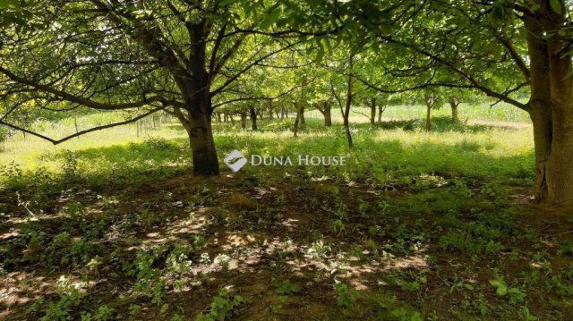 Eladó telek, Ököritófülpösön 7.99 M Ft / költözzbe.hu