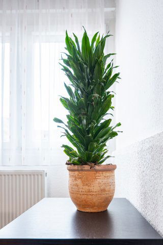 Eladó panellakás, Budapesten, III. kerületben, Szentendrei úton