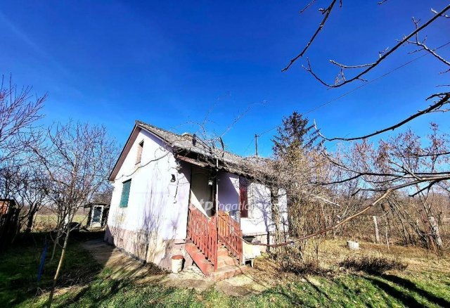 Eladó mezogazdasagi ingatlan, Berettyóújfaluban 6.5 M Ft