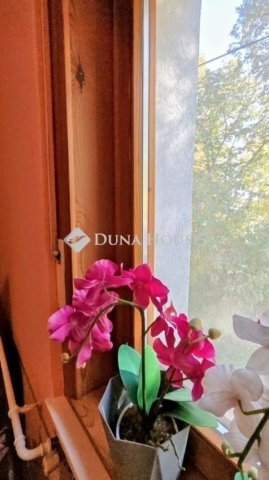 Eladó ikerház, Kecskeméten 76.9 M Ft, 6 szobás