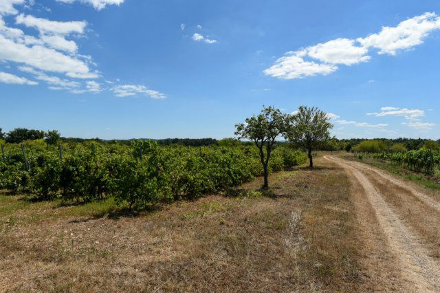 Eladó telek, Vászolyon 42 M Ft / költözzbe.hu