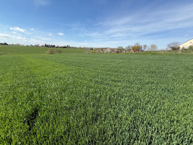 Eladó telek, Cserszegtomajon 14.9 M Ft / költözzbe.hu