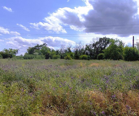 Eladó telek, Szigetcsépen 25 M Ft / költözzbe.hu