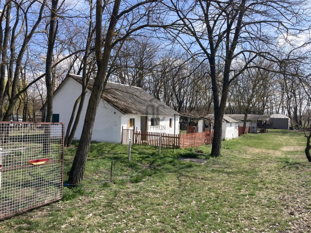 Eladó családi ház, Lajosmizsén 19.9 M Ft, 2 szobás