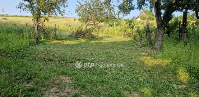 Eladó mezogazdasagi ingatlan, Zalaszabaron 3.6 M Ft