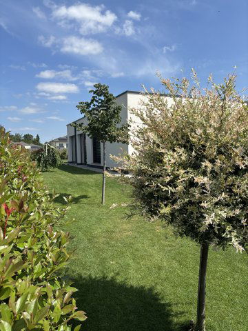 Eladó családi ház, Szombathelyen 218 M Ft, 3+1 szobás