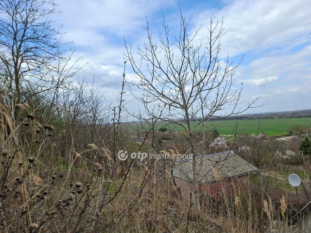 Eladó telek, Adonyban 6.5 M Ft / költözzbe.hu