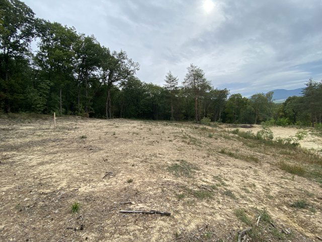 Eladó telek, Pilisborosjenőn 55 M Ft / költözzbe.hu