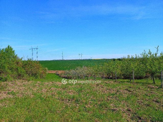 Eladó telek, Aszódon 41 M Ft / költözzbe.hu