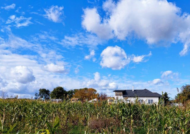 Eladó családi ház, Szentkirályszabadján, Erdő sétányon