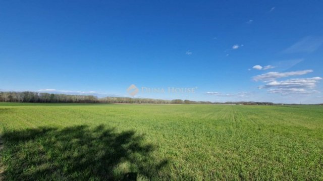 Eladó mezogazdasagi ingatlan, Sülysápon 40.5 M Ft