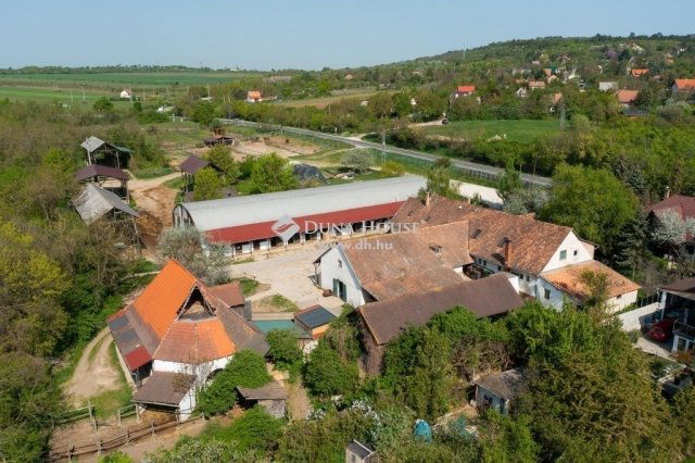Eladó mezogazdasagi ingatlan, Zsámbékon 248 M Ft, 6 szobás