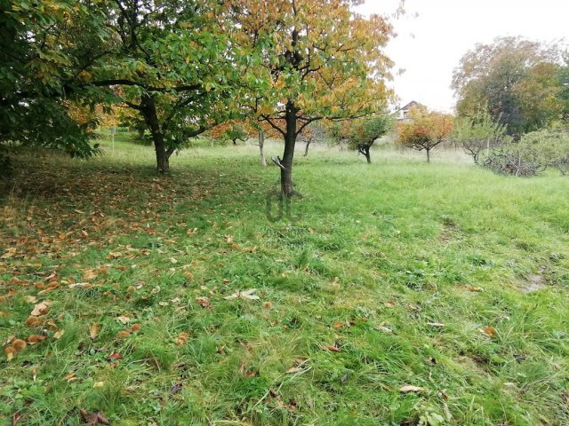 Eladó telek, Zalaegerszegen 10 M Ft / költözzbe.hu