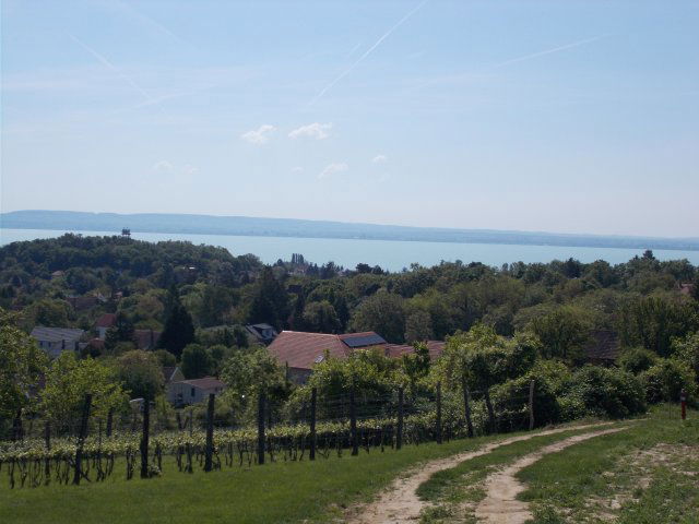 Eladó mezogazdasagi ingatlan, Ábrahámhegyen 59 M Ft