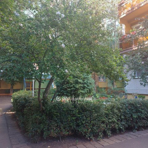 Eladó panellakás, Budapesten, XIX. kerületben 51.9 M Ft, 1 szobás