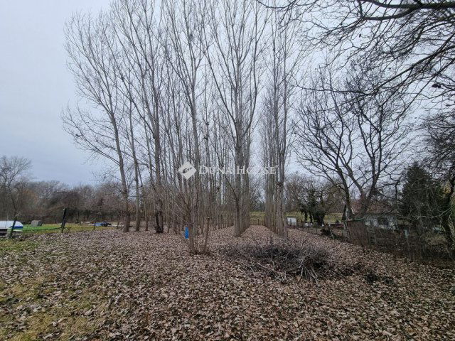 Eladó telek, Tiszaugon 5.99 M Ft / költözzbe.hu
