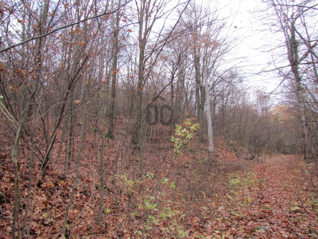 Eladó telek, Bükkszentkereszten 7.6 M Ft / költözzbe.hu