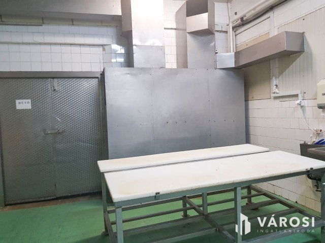Eladó ipari ingatlan, Hódmezővásárhelyen 150 M Ft