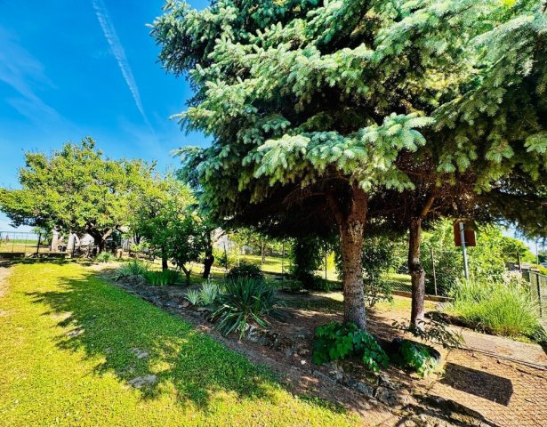Eladó családi ház, Balatonmagyaródon 22.4 M Ft, 3 szobás