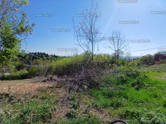 Eladó telek, Szentendrén 48 M Ft / költözzbe.hu