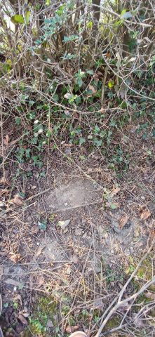 Eladó telek, Zalaegerszegen 4.9 M Ft / költözzbe.hu