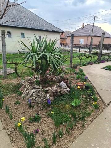 Eladó családi ház, Kadarkúton 23.9 M Ft, 2 szobás