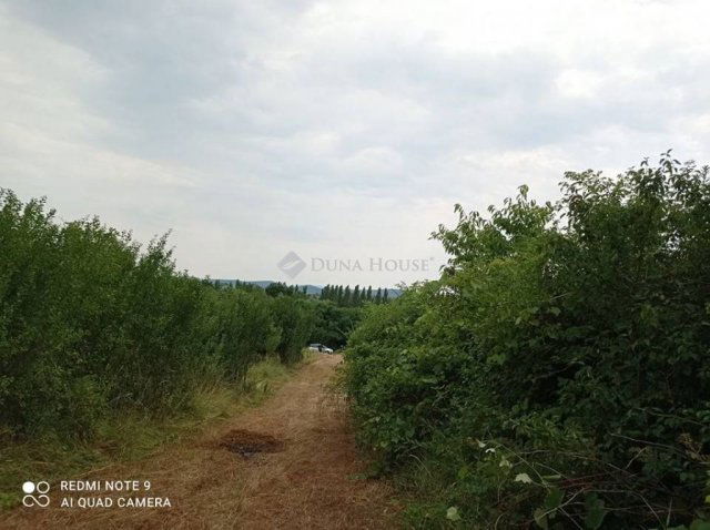 Eladó telek, Diósjenőn 4.6 M Ft / költözzbe.hu
