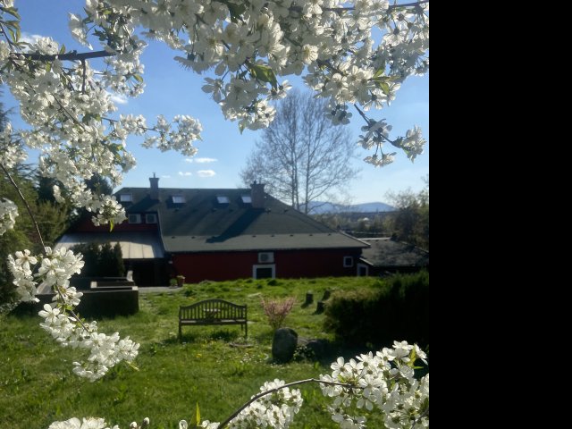 Eladó családi ház, Szentendrén 289 M Ft, 6 szobás