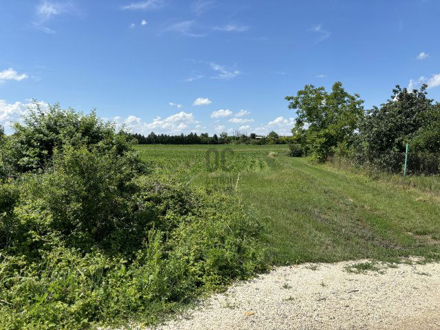 Eladó telek, Érden 11.5 M Ft / költözzbe.hu